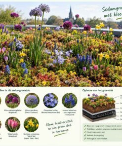 Bloembollen Groendak BloemenBoost